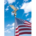 19 in. Large Flagpole Eagle Bronze Gold