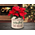Personalized Holiday Holly 2 Gallon Crock w/ Multi-Color Etching in a Setting.