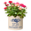 Personalized Rose Stem 2 Gallon Crock w/ Dark Blue Etching in use