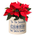 Personalized Snowflake Ornament 2 Gallon Crock w/ Dark Blue Etching in use
