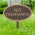 No Trespassing Plaque Oval Shape Bronze & Gold in yard