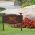 Vine Chickadee Garden Lawn Plaque Antique Copper 3
