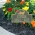 Bronze Verdigris Cat Arch Lawn Memorial Marker on Side Walk
