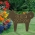 Dog Shaped Memorial Lawn Plaque in Antique Brass in the Colorful Vibrant  Garden