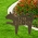 Cat Shaped Memorial Lawn Plaque in Antique Brass on a Beautiful Manicured Sidewalk