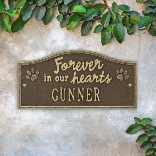 Forever in Our Hearts Memorial Plaque Antique Brass on the wall  with Green Vines  growing above wall